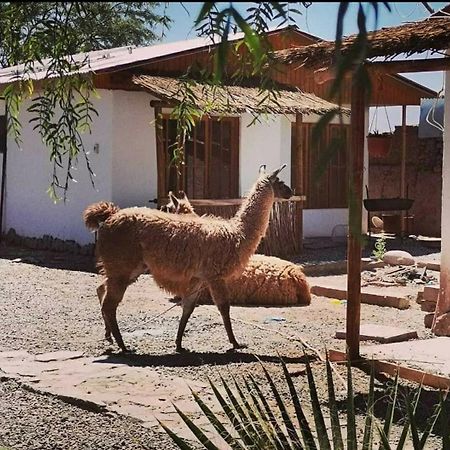 Cabanas Voyage Atacama San Pedro de Atacama Kültér fotó