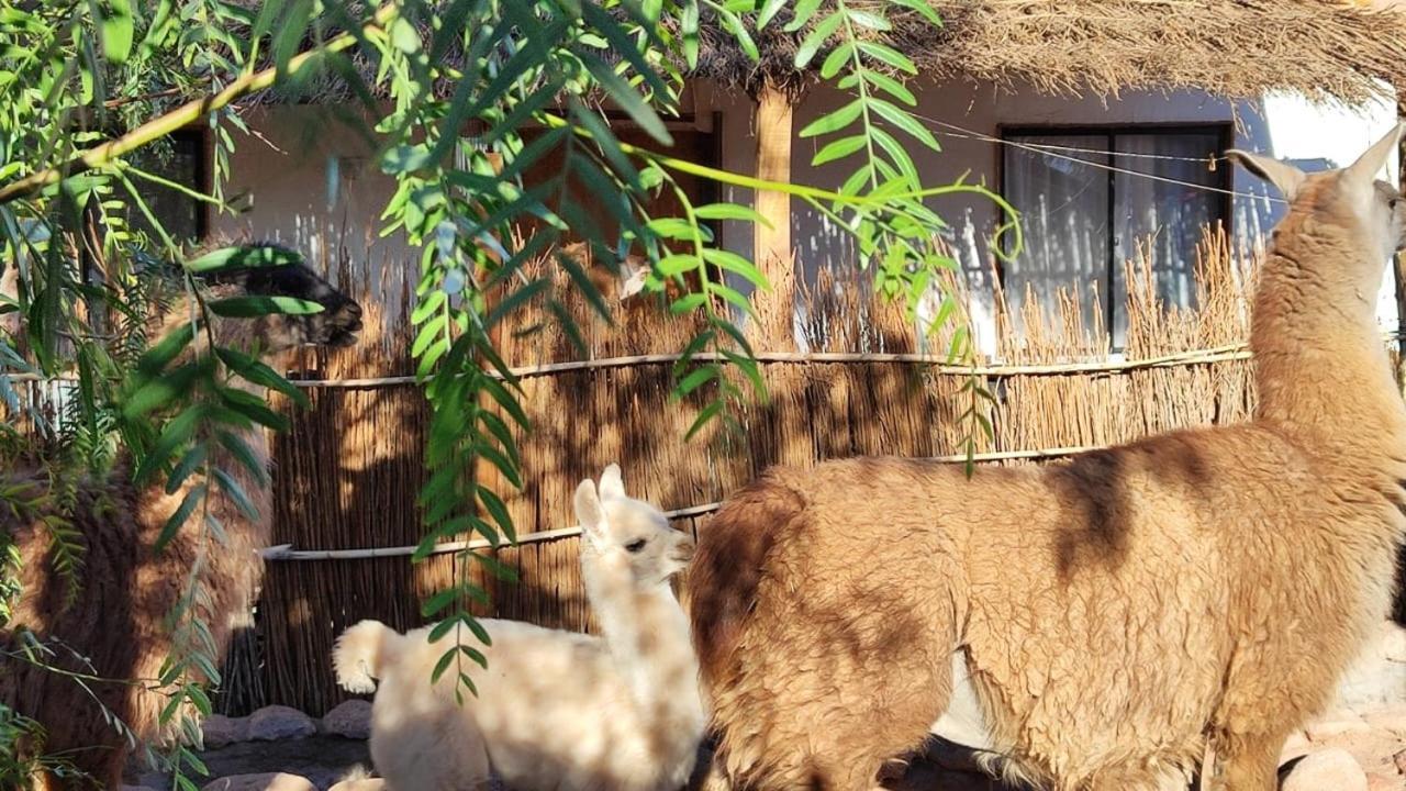 Cabanas Voyage Atacama San Pedro de Atacama Kültér fotó