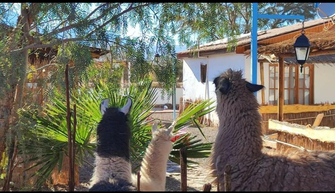 Cabanas Voyage Atacama San Pedro de Atacama Kültér fotó