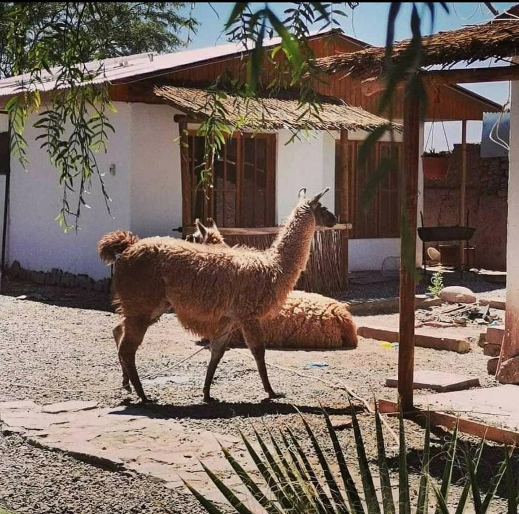 Cabanas Voyage Atacama San Pedro de Atacama Kültér fotó