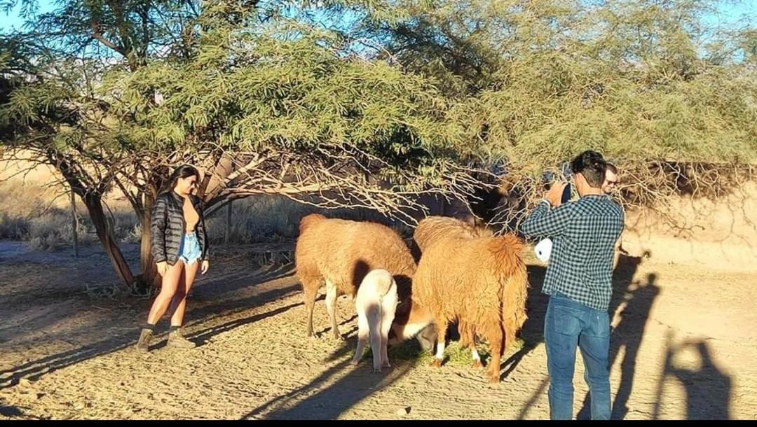 Cabanas Voyage Atacama San Pedro de Atacama Kültér fotó