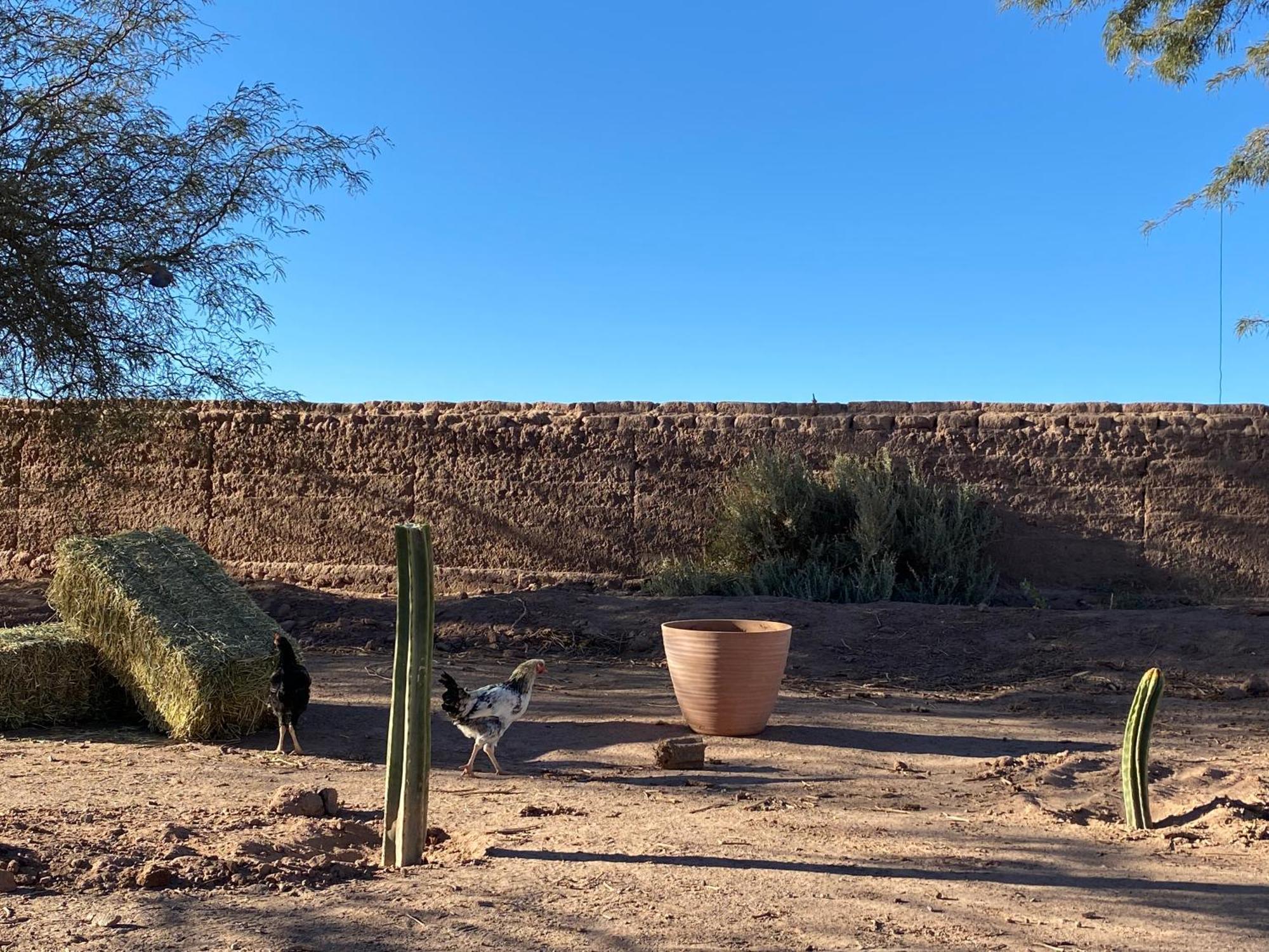 Cabanas Voyage Atacama San Pedro de Atacama Kültér fotó