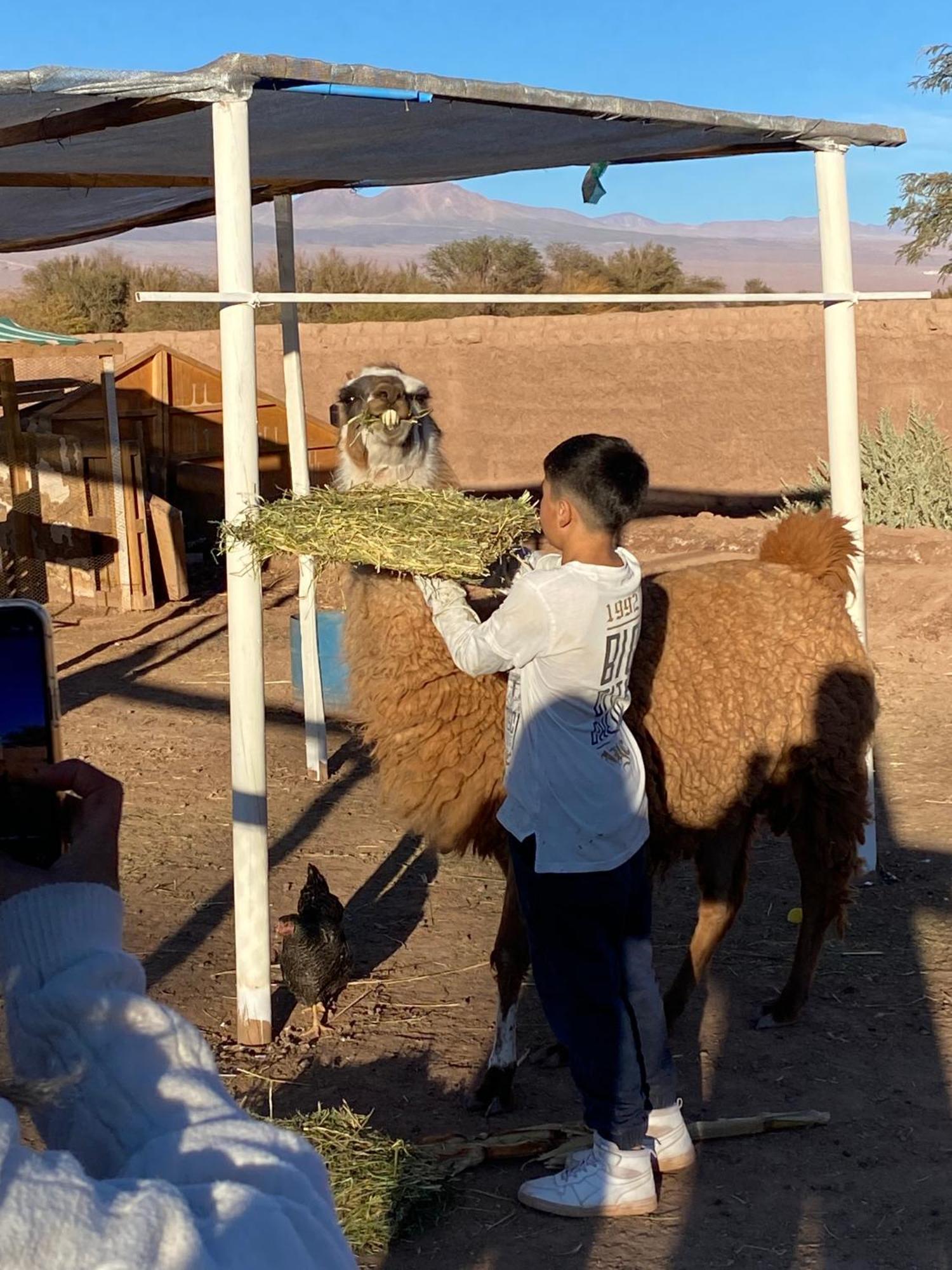Cabanas Voyage Atacama San Pedro de Atacama Kültér fotó