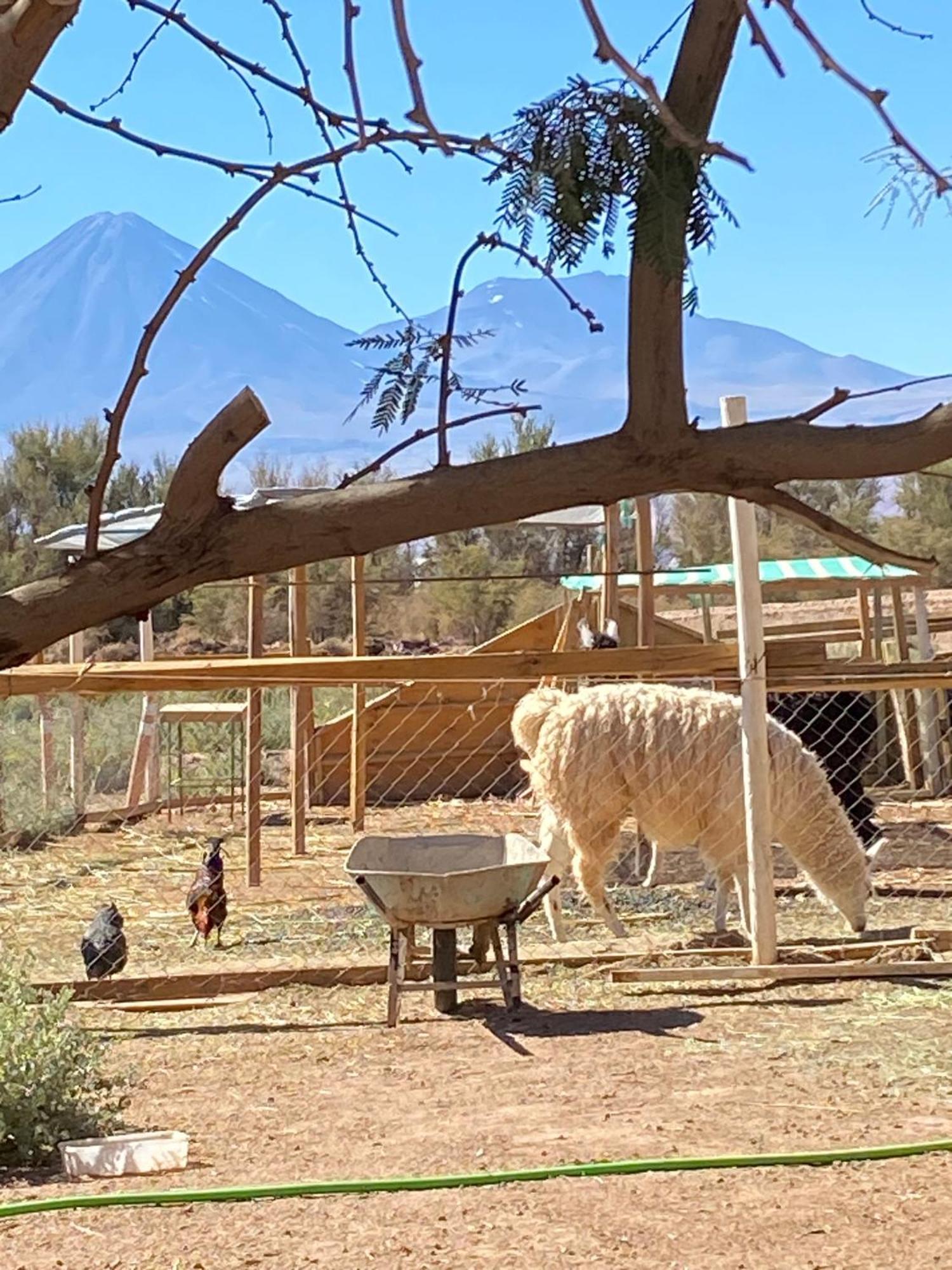 Cabanas Voyage Atacama San Pedro de Atacama Kültér fotó